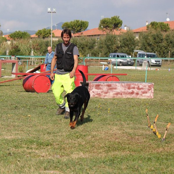 cani soccorso1 600x600