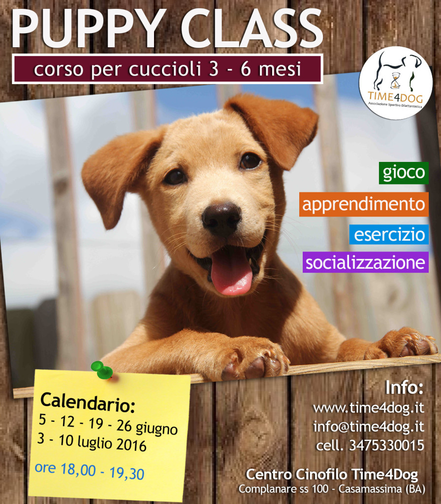 corsopuppy2016-896x1024.jpg